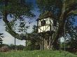 Tree House, Pitchford Hall, Shropshire, 17Th Century by Lucinda Lambton Limited Edition Print