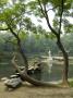 Buddhist Temple, Near Nanjing, China by Natalie Tepper Limited Edition Print