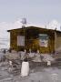 Old Shack And Gentoo, Peterman Island, Antarctica by Natalie Tepper Limited Edition Print
