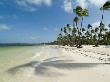 Bavaro Beach, Near Punta Cana, Dominican Republic by Natalie Tepper Limited Edition Print