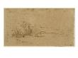 Une Ferme Dans Un Bosquet Pres De L'armsteldijk by Rembrandt Van Rijn Limited Edition Print
