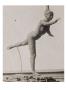 Photo D'une Sculpture De Degas En Cire:Danseuse,Grande Arabesque,2Eme Temps (Rf2070) by Ambroise Vollard Limited Edition Print