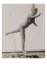 Photo D'une Sculpture De Degas En Cire:Danseuse,Grande Arabesque,2Ème Temps (Rf2070) by Ambroise Vollard Limited Edition Pricing Art Print