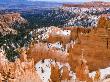 Bryce Amphitheater, Bryce Canyon National Park, Utah, Usa by Michael Defreitas Limited Edition Print