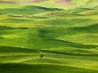 S-Pattern Road Through Wheat Fields Of Palouse Country, Washington, Usa by Terry Eggers Limited Edition Print