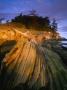 Sandstone Wave On Sucia Island, San Juan Islands, Washington, Usa by Jon Cornforth Limited Edition Print