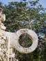 Hoop In The Ballcourt, Uxmal, Yucatan, Mexico by Julie Eggers Limited Edition Print