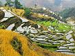 Rice Terraces, Yuxi Prefecture, Yuanjiang, Yunnan, China by Charles Crust Limited Edition Print