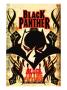 Black Panther Annual #1 Cover: Black Panther by Juan Doe Limited Edition Print