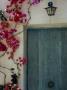 Blue Door With Bougainvillea, Positano by Eloise Patrick Limited Edition Print