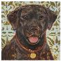 Labrador by K. Tomlin Limited Edition Print