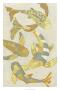 Golden Koi Ii by Chariklia Zarris Limited Edition Pricing Art Print
