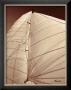 Windward Sail Iii by Alan Hausenflock Limited Edition Print