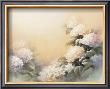 Hydrangea Blooms by T. C. Chiu Limited Edition Pricing Art Print