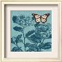 Butterfly Conservatory by Bella Dos Santos Limited Edition Print