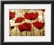 Poppies Ii by Dana Del Castillo Limited Edition Print