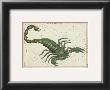 Zodiac Symbols: Scorpio by Sidney Hall Limited Edition Pricing Art Print