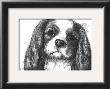 Louie The Cavalier King Charles by Beth Thomas Limited Edition Pricing Art Print