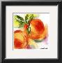 Peach by Andrea Brooks Limited Edition Print