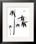 Bamboo I by Jenny Tsang Limited Edition Print
