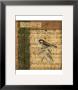 Bird Melody I by Nancy Slocum Limited Edition Print