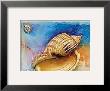 Neptunes Amulet I by Petar Meseldzija Limited Edition Pricing Art Print