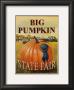 Big Pumpkin by Catherine Jones Limited Edition Pricing Art Print