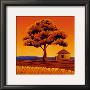 L'arbre De Doumbe by Moga Limited Edition Print