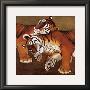 Sleeping Tigers by Lisa Benoudiz Limited Edition Pricing Art Print