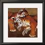 Sleeping Tigers by Lisa Benoudiz Limited Edition Print