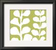 White Fern On Green by Denise Duplock Limited Edition Print