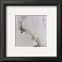 Whispers Iv by John Douglas Limited Edition Print