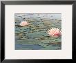 Lily Pool by Adam Brock Limited Edition Print
