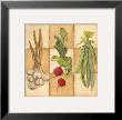 Fresh Veggies Ii by Charlene Winter Olson Limited Edition Print