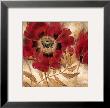 Red Poppy by Richard Henson Limited Edition Pricing Art Print