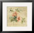 Provence Rose I by Cheri Blum Limited Edition Pricing Art Print