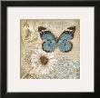 Butterfly Garden Ii by Conrad Knutsen Limited Edition Print