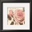 Carte Postale Rose Ii by Paula Scaletta Limited Edition Pricing Art Print