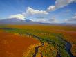 Aerial View Of Kronotskaya River In September, Kronotsky Zapovednik Reserve, Russia by Igor Shpilenok Limited Edition Print