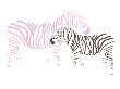 Pink Zebra by Avalisa Limited Edition Print
