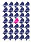 Navy Pink Regatta by Avalisa Limited Edition Print