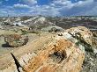 Petrified Logs Exposed By Erosion, Painted Desert And Petrified Forest, Arizona, Usa May 2007 by Philippe Clement Limited Edition Pricing Art Print