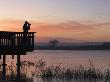 Person Bird Watching At Dawn, Bosque Del Apache National Wildlife Refuge, New Mexico, Usa by Mark Carwardine Limited Edition Print