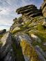 Black Tor, Dartmoor Np, Devon, Uk by Adam Burton Limited Edition Print