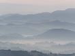 The Andalucian Campagna Near Montellano At Dawn, Andulacia, Spain, Febraury 2008 by Niall Benvie Limited Edition Print