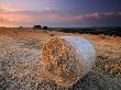 Round Straw Bales And Stormy Morning Sky, Near Bradworthy, Devon, Uk. September 2008 by Ross Hoddinott Limited Edition Print