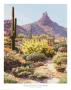 Pinnacle Peak From The North by Kerry Kinman Limited Edition Print