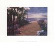 Garden Promenade by Diane Romanello Limited Edition Print