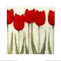 Tulip Series Viii by Scott Olson Limited Edition Pricing Art Print