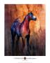 Unbridled I by Annrika James Limited Edition Pricing Art Print